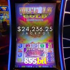 Live Casino 855brl