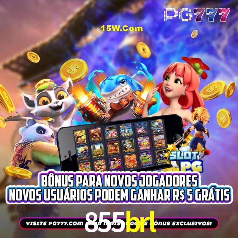 Flash Promotion 855brl